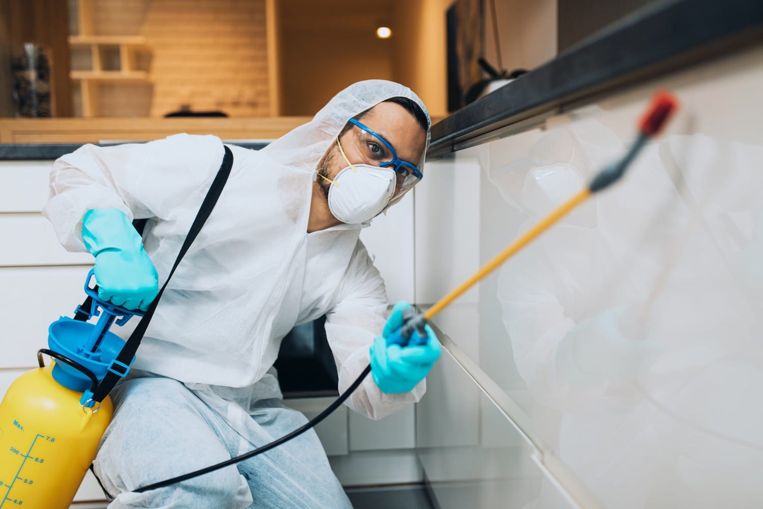 Pest Control Image
