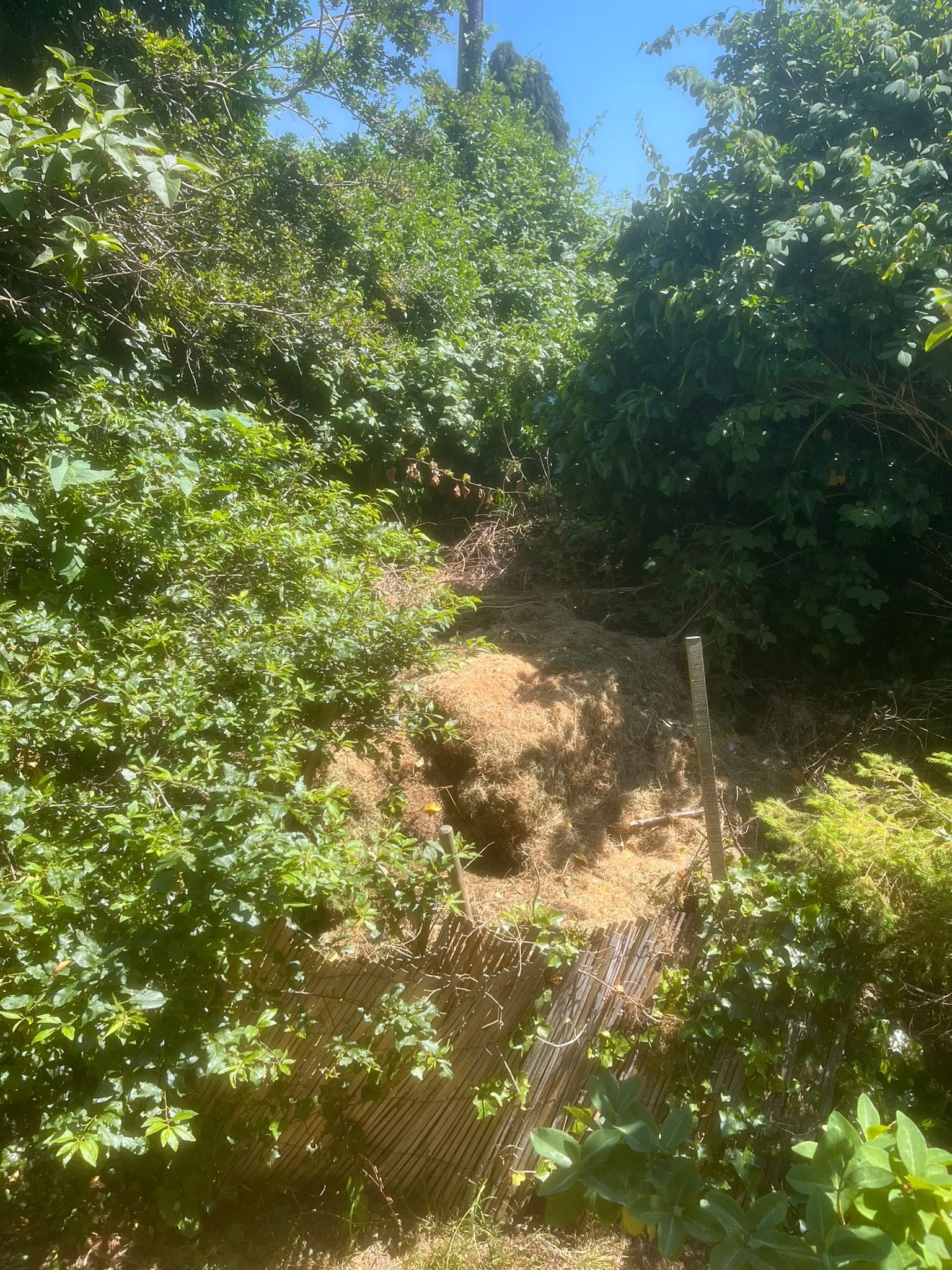 garden clearance before garden clearance before